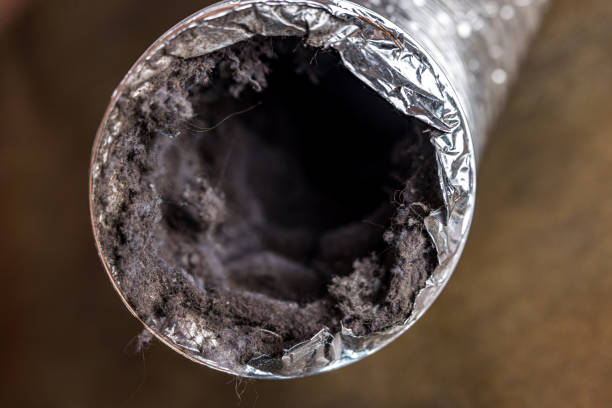 Best Local Air Duct Cleaning Services  in Comstock Park, MI